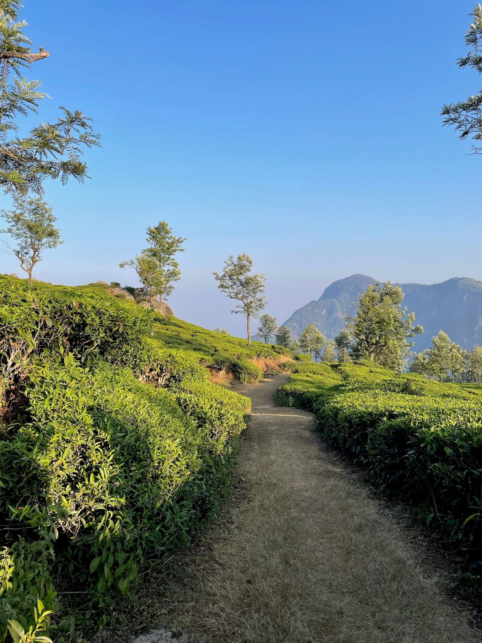 The Philosophy Petti